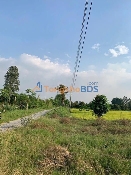 Đất nền Phú Thuận 2000m² giá mềm - Tiềm năng tăng giá