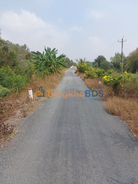 Đất Vĩnh Hưng Long An 592m² Full Thổ Cư - Giá 800 Triệu Ô Tô Tới