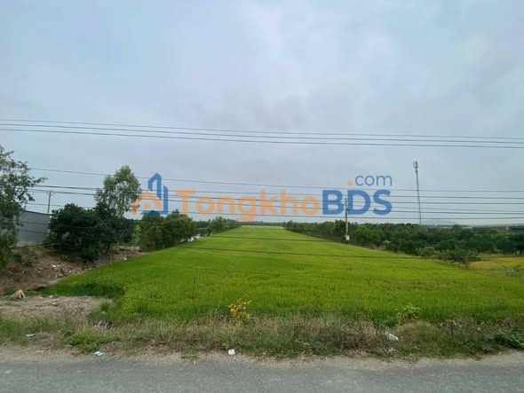 Đất ruộng Kinh 10 Vĩnh Châu 3,2ha 8,96 tỷ - Đầu tư dài hạn