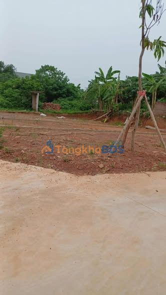 Đất nền Xương Lâm 200m² 2.5 tỷ - Giá đầu tư tốt