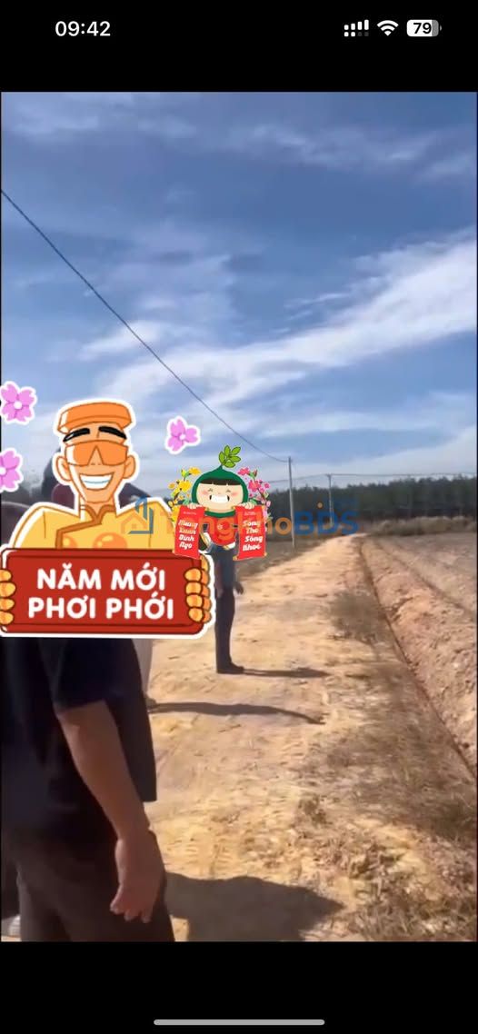 Đất nền Thạnh Bình Tân Biên 10x100 110tr - Sổ đỏ chính chủ