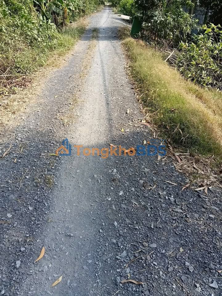 Bán Gấp 13000m² Đất Vườn Tân Phước, Tiền Giang - Sổ Hồng Sẵn Sàng