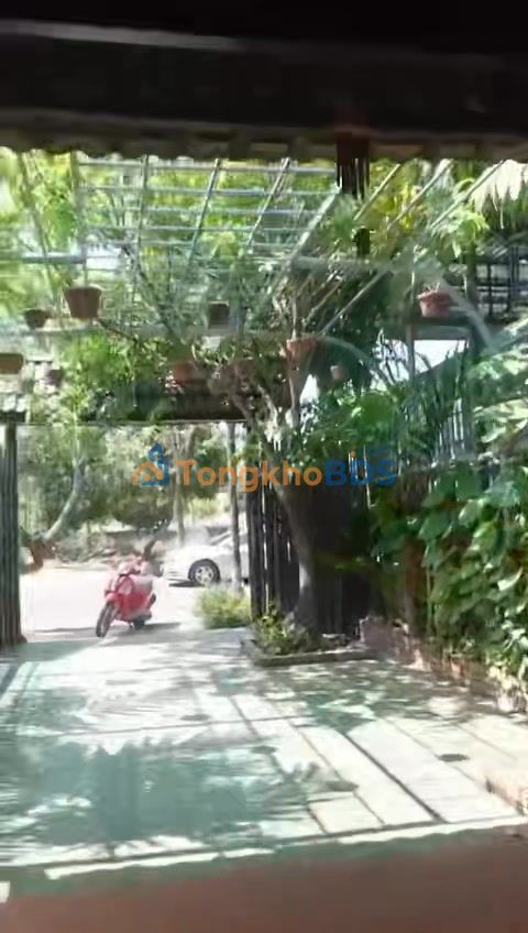 Mặt Bằng Kinh Doanh 35 Hai Bà Trưng, Gia Lai - Ngay Cổng THPT Nguyễn Bỉnh Khiêm