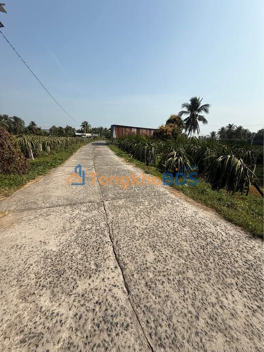 Bán Đất Vườn 300m² Xã Hàm Mỹ, Bình Thuận - Giá 1.4 Tỷ, Ô Tô Tận Nơi