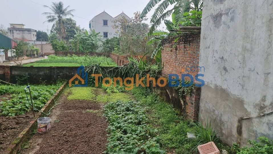 Đất nền Gia Lâm 50m² - Ô tô vào nhà, 3 tỷ, sổ đỏ sẵn sàng