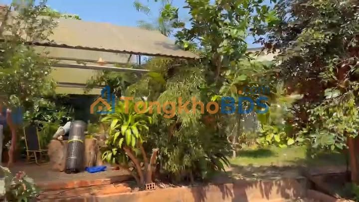 Đất nhà vườn Chư Sê 836m² - 2.43 tỷ, sổ đỏ chính chủ