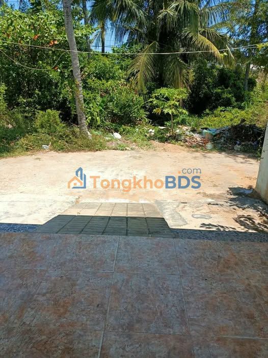 Cho thuê nhà Xã Long Đức, Trà Vinh - 2PN, 2.5 triệu/tháng