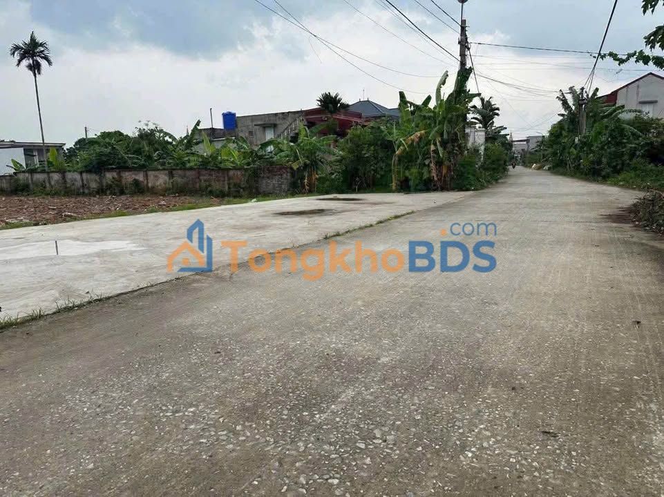 Đất Thái Thụy, Thái Bình 72m² - Sổ Đỏ, Đường 2 Ô Tô - Giá Vài Trăm Triệu