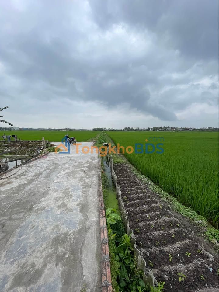 Đất nền Quyết Thắng, Thanh Hóa 75m² 1 tỷ - Tiềm năng tăng giá