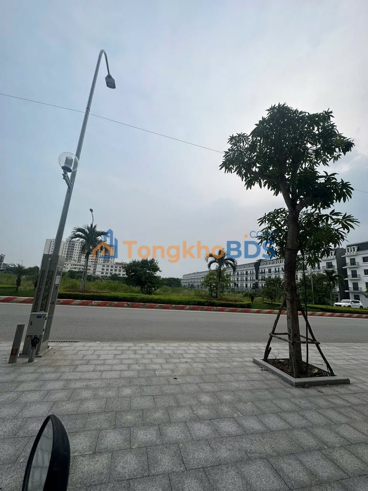 Nhà phố Thanh Hóa Đại lộ CSEPT 90m² 8 tỷ - Mặt tiền kinh doanh