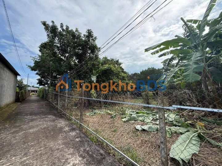 Đất Nền Long Khánh 140m² - Sổ Riêng Thổ Cư, Giá Ngộp 1.5 Tỷ