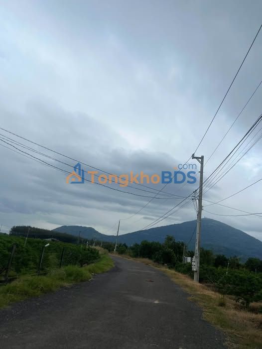 Đất Tân Bình Tân Biên 1 công 590 triệu - Đường to ô tô