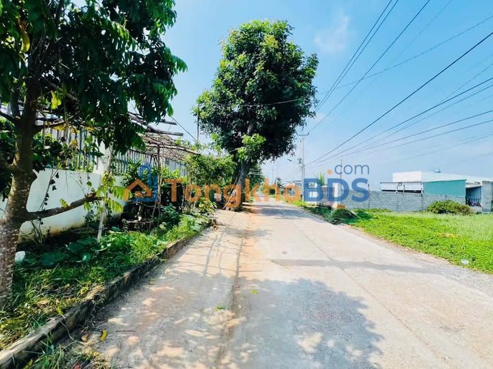 Đất thổ cư 115m² Phong Nẫm, Phan Thiết - Sổ hồng sẵn, giá 590 triệu