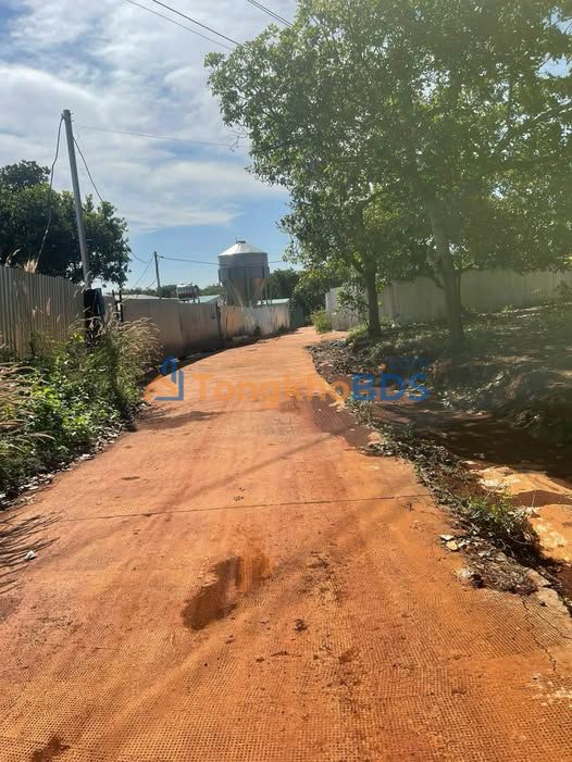 Farm Minh Hung Bu Dang 3ha/14 ty - So hong ro rang