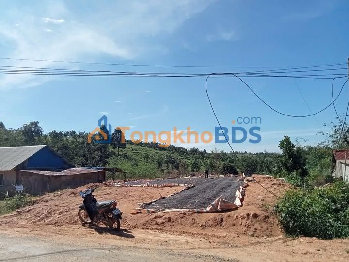 Đất nền Tân Lâm Di Linh 750m² giá 67.5 tỷ - Sổ đỏ chính chủ, ô tô vào tận nơi