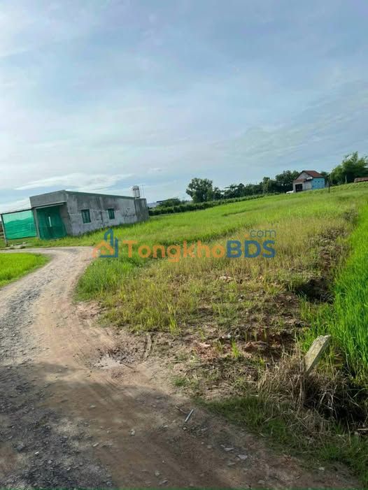 Đất nền Đức Hòa 330m² full thổ cư - Sổ sẵn, đường xe tải