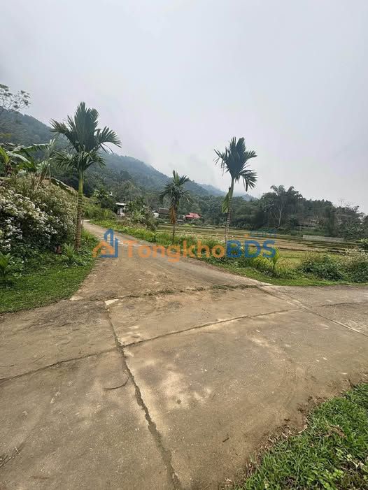 Đất nền Thanh Hà, Hà Giang 300m² 1.19 tỷ - Đất thổ cư 100%