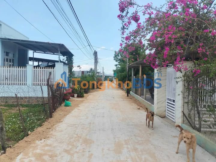 Đất Nền Long Bình Đồng Nai 200m² Giá 450 Triệu - Lô Góc Ô Tô