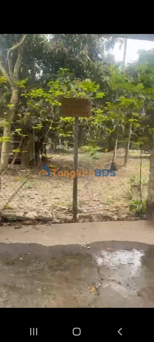 Đất Trung Môn Tuyên Quang 330m² 1,45 tỷ - Sổ đỏ