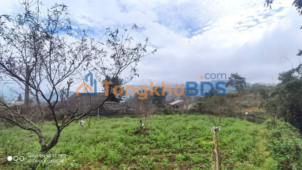 Đất Vườn Sa Pa 1224.7m² Sổ Đỏ Chính Chủ - Tiềm Năng Sinh Lời Cao