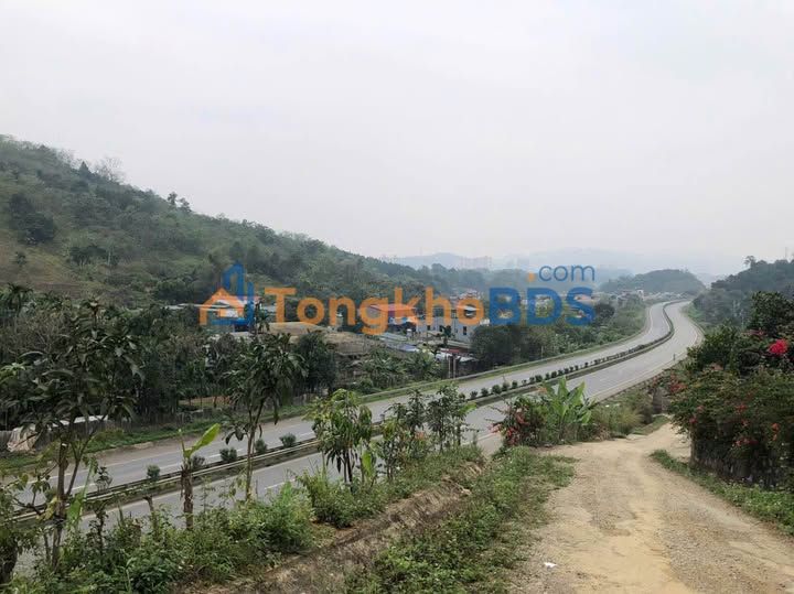 Đất vườn Lào Cai 5.000m² 560 triệu - Đầu tư dài hạn