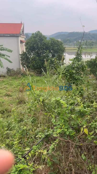 Đất nền Tiền Phong Bắc Giang 2.686m² - Sổ đỏ chính chủ