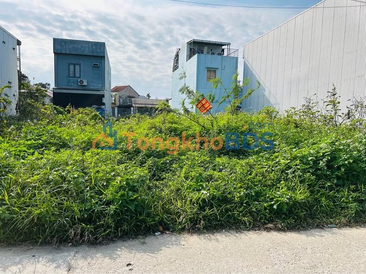 Đất Mặt Tiền Đường Pha, Huế - 165m² Hướng Đông, Giá 25 Triệu/m²