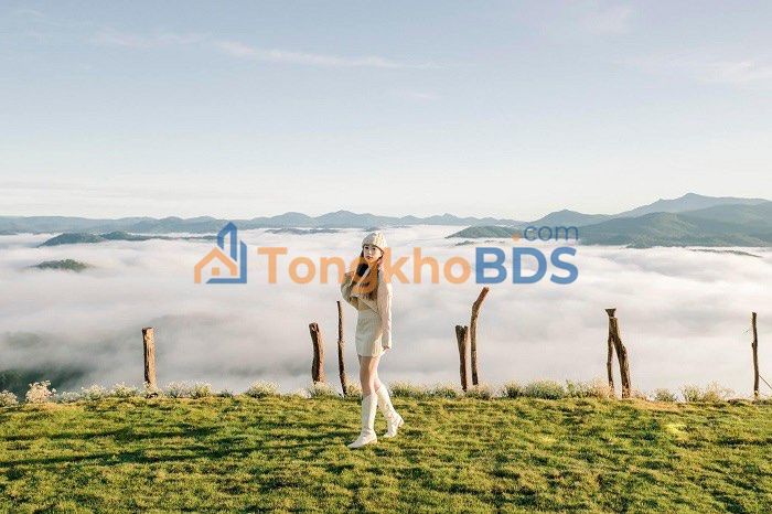 Đất nền Phường 4 Đà Lạt 100m² 1.2 tỷ - Sổ đỏ chính chủ