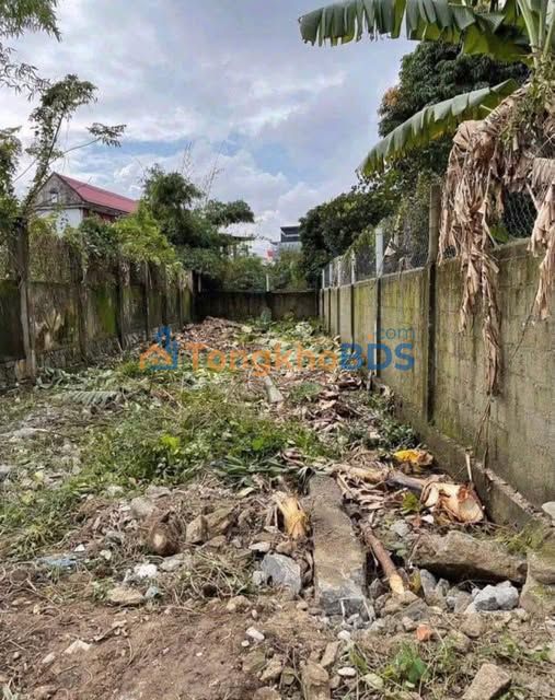 Bán Đất Lại Thế, Huế 152m² Ngang 6.2m - Sổ Hồng Chính Chủ