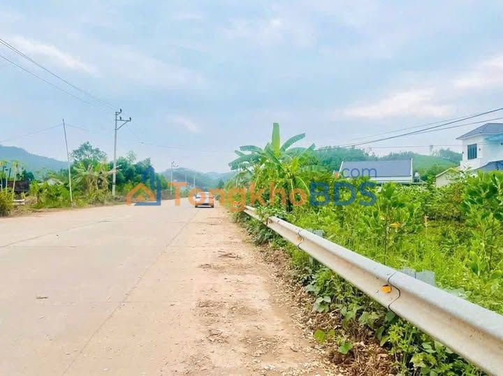 Đất Nền Mặt Tiền Tỉnh Lộ 293 - Sơn Động, Bắc Giang - 183m² Thổ Cư