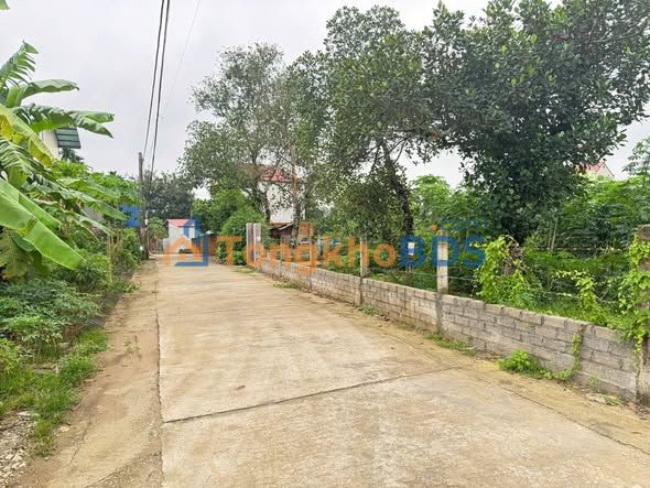 Đất nền Tân Xã 77,3m² 2 tỷ - Sổ đỏ chính chủ