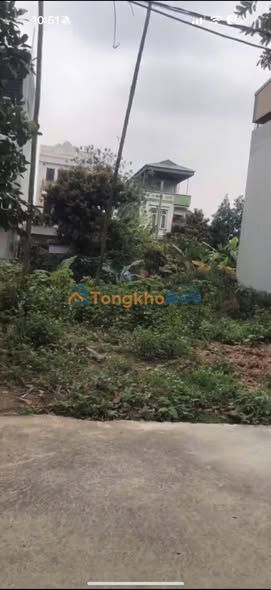 Đất Nền Vũ Thê Lang, Việt Trì 83.9m² - Vị Trí Vàng, Sẵn Sàng Đầu Tư