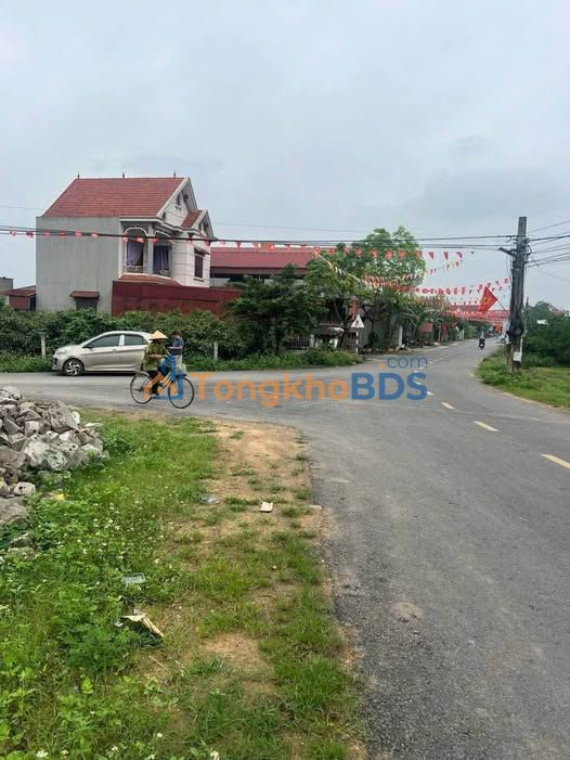 Bán Gấp 2 Lô Liền Kề 160m² Lục Nam, Bắc Giang - Kinh Doanh Đắc Lợi