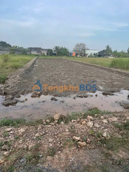 Đất vườn Phường 7 Tân An 945m² giá 950 triệu - An yên tĩnh lặng