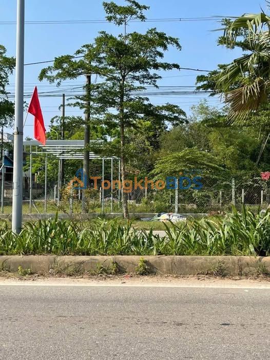 Đất Trưng Nữ Vương Thủy Dương 646m² 1 tỷ - Đường ô tô