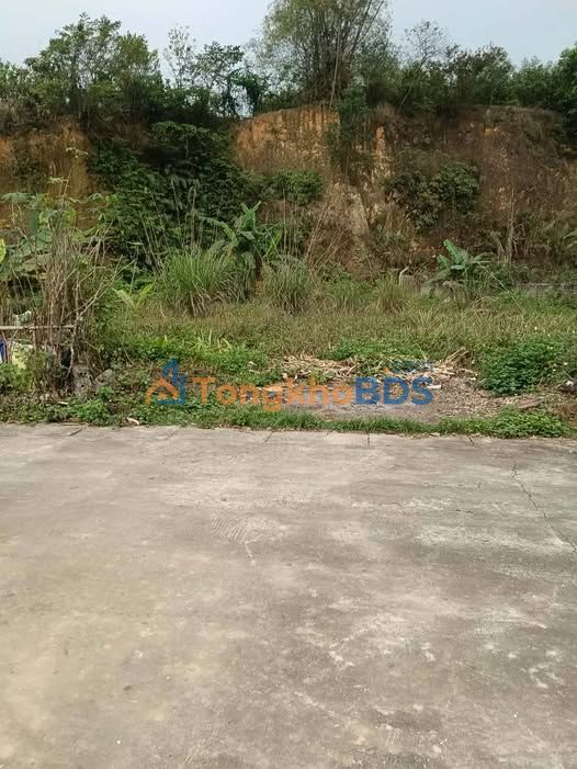 Đất Thị Trấn Đoan Hùng - 270m² Thổ Cư, Sẵn Xây Nhà