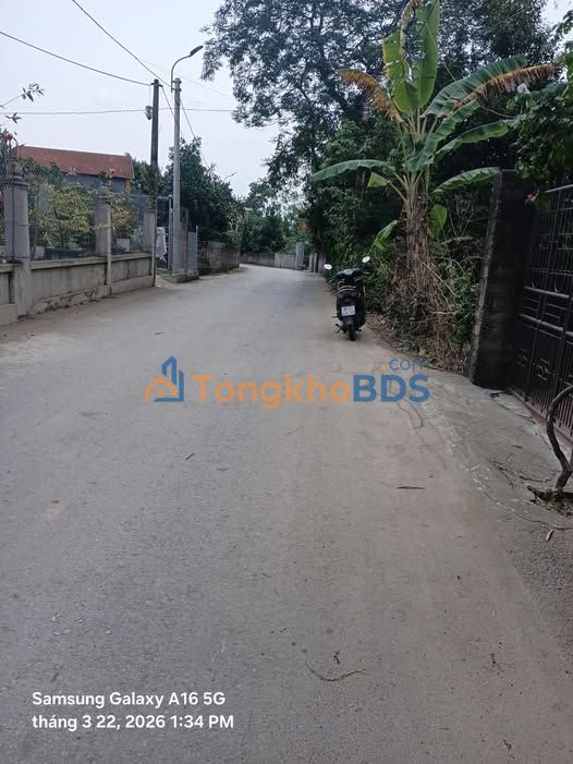 Đất nền Tam Sơn Việt Trì 400m² thổ cư 80m - Xây dựng tự do