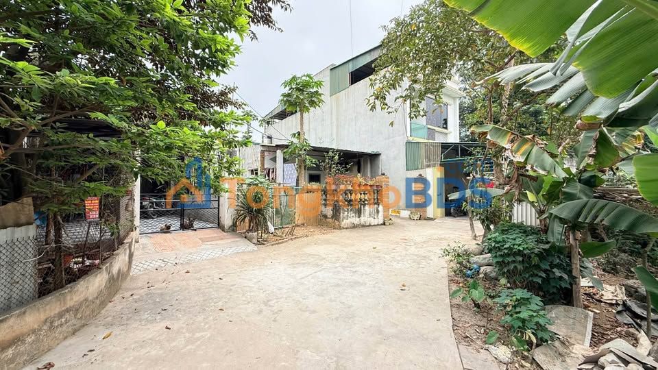 Đất nền Khu 12 Thanh Miếu 90m² giá 1 tỷ - Đường ô tô