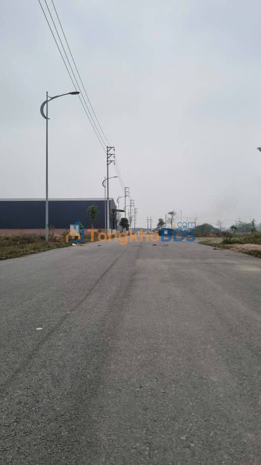 Bán Đất Dịch Vụ Chợ Đầu Mối Yên Lập, Vĩnh Tường - 800m², Giá Tốt