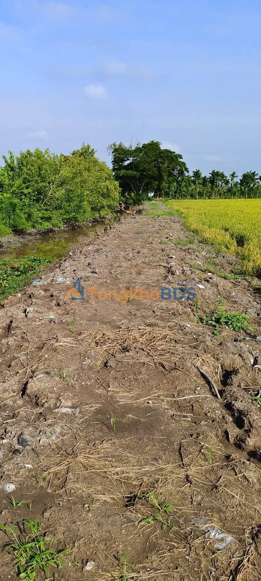 Đất 17.700m² Vĩnh Khánh Thoại Sơn 2,655 tỷ - Sổ đỏ chính chủ