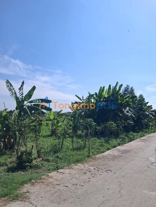 Đất vườn Mỹ Thới Long Xuyên 2.000m² - Sinh thái xanh