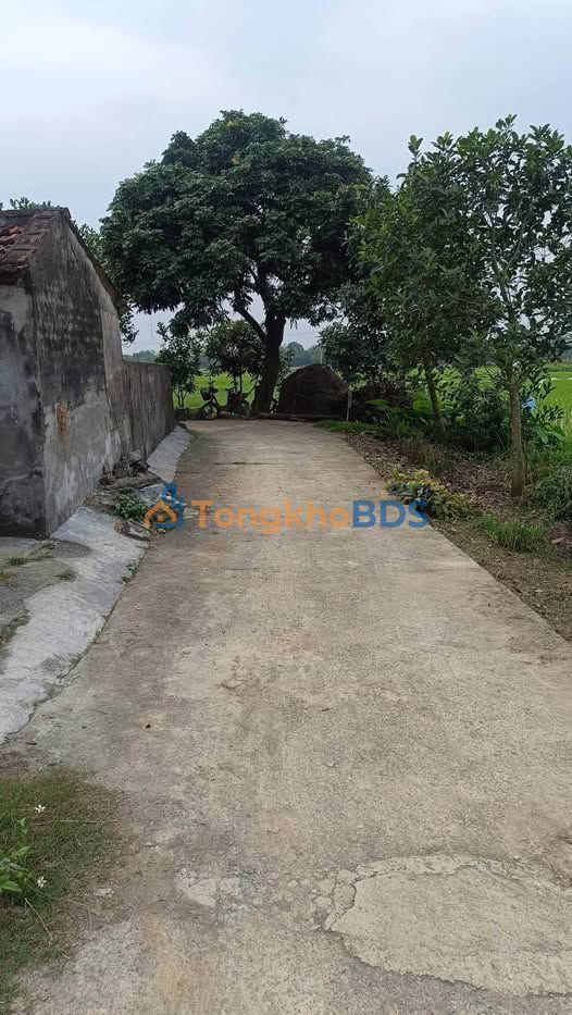 Đất nền Bình An Hà Nam 133m² vài trăm triệu - Đường to ô tô