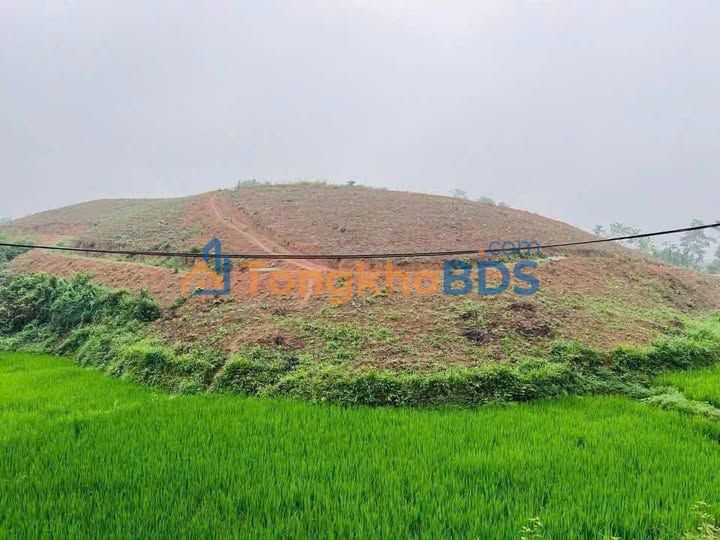 Đất vườn Bảo Hiệu Hòa Bình 20.000m² giá 3 tỷ - Sinh thái xanh