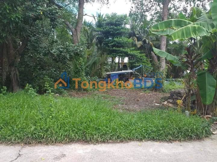 Đất nền Bình An, Châu Thành 186m2 500-599 triệu - Đất thổ cư 100%