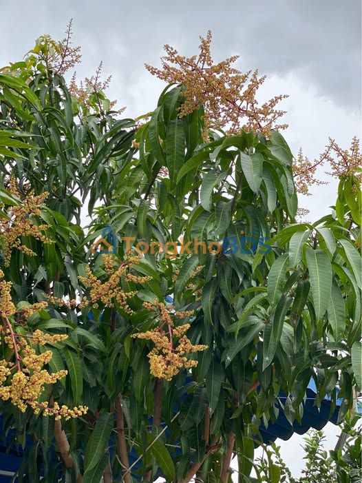 Phòng Trọ Thoáng Mát Đường Bạch Đằng, Tam Kỳ - Có Sân Phơi, WC Riêng