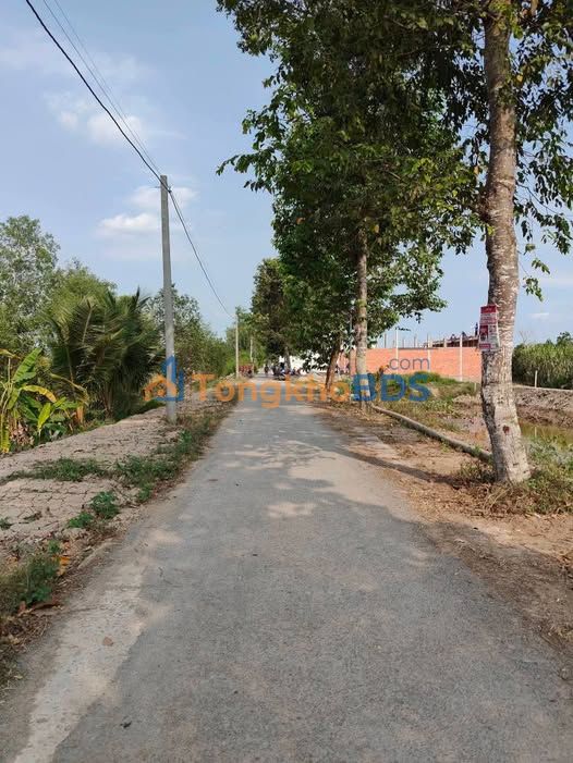 Đất nền Bình Minh Cần Thơ 75m² 399 triệu - Đường to ô tô