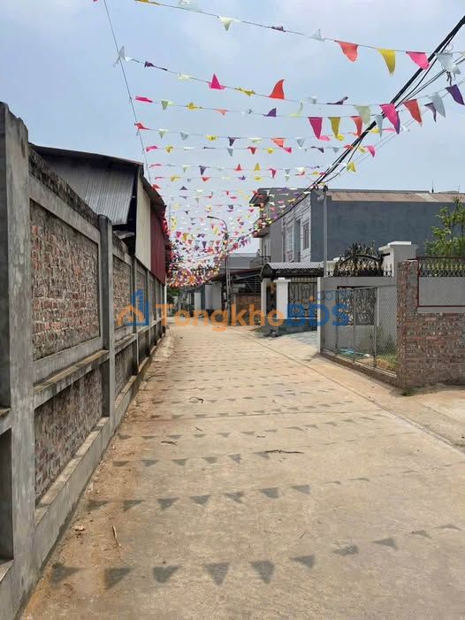 Đất nền Tam Dương 95m² giá 1.3 tỷ - Sổ đỏ chính chủ