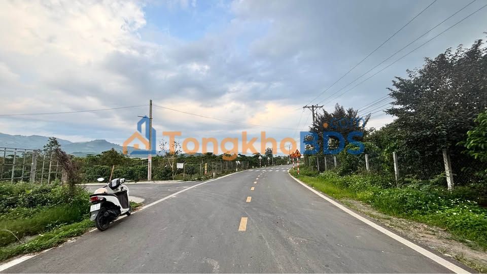 Đất Mặt Tiền Đinh Công Tráng - Bảo Lộc 2056m² - Sổ Hồng Sẵn Sàng