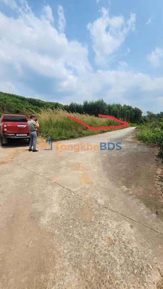 Đất nền Đan Hội 165m² 2 tỷ - Sổ đỏ chính chủ