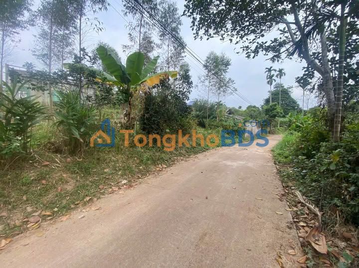 Đất nền Đồng Kỳ Yên Thế 1.500m² 6xx triệu - Giá tốt hiếm có